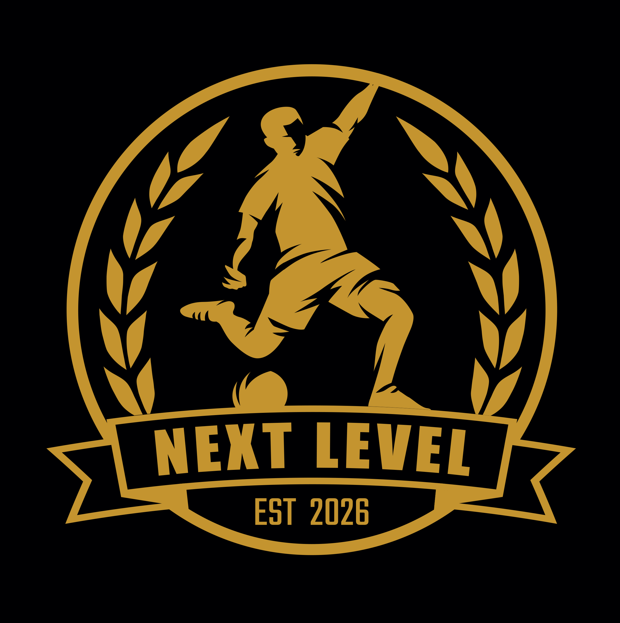 Voetbalschool NEXT LEVEL